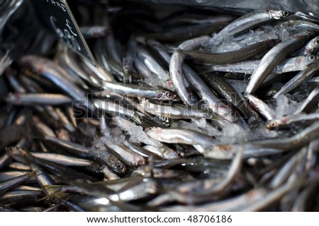 Close up of large number of small fish on ice for sale at an out door market.
