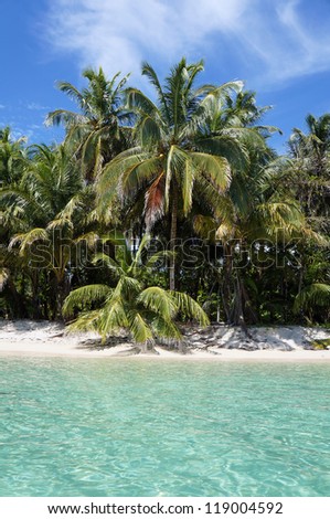 White sand beach with coconut trees and turquoise waters in the Zapatillas Keys islands, Bocas del Toro archipelago, Caribbean sea, Panama