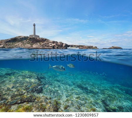 Similar – Image, Stock Photo View of the lighthouse and cliffs at Cape St. Vincent at sunset. Continental Europe’s most South-western point, Sagres, Algarve, Portugal.