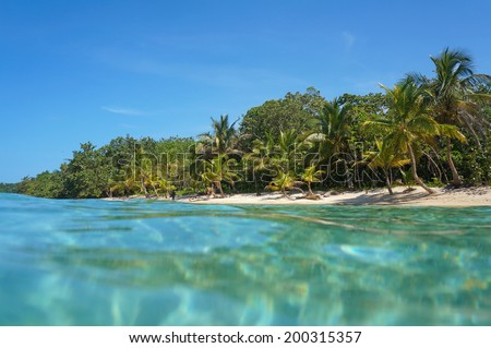 Sandy beach with tropical vegetation viewed from water surface, Caribbean sea, Panama