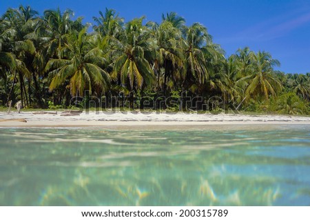 Unspoiled tropical beach with coconut palm trees viewed from sea surface, Caribbean, Panama