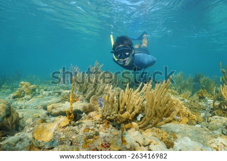 Man snorkeling underwater looks at the camera on a shallow reef with soft corals, Caribbean sea, Panama