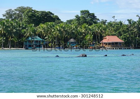Waterfront house and restaurant on the shore of Carenero island, Caribbean, Bocas del Toro, Panama, central America