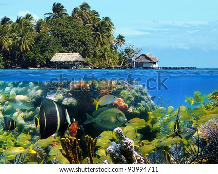 Over under view of an island with lush vegetation and thatched hut, underwater, a colorful coral reef with tropical fish, Caribbean sea