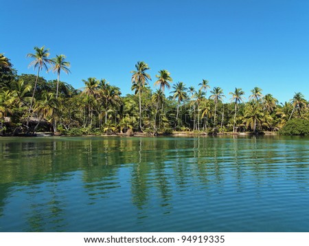 Caribbean coast in Panama with tropical vegetation and calm sea, Bocas del Toro