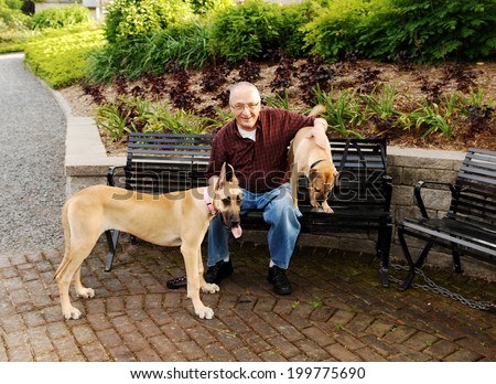 A senior citizen sitting on a bench with his two dog\'s, a great Dane and a sharpei on a bench in the park.