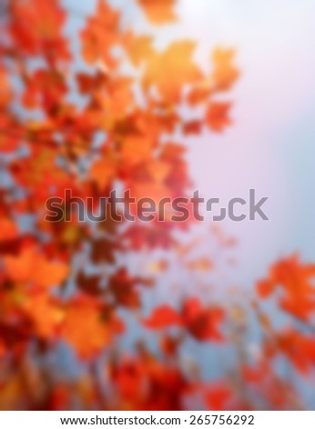 A blurred background of Autumn red maple leaves with lens flare