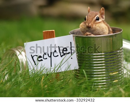 little chipmunk recycles