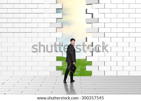 Beautiful businessman watching dilapidated brick wall, green meadow and sky as backdrop.