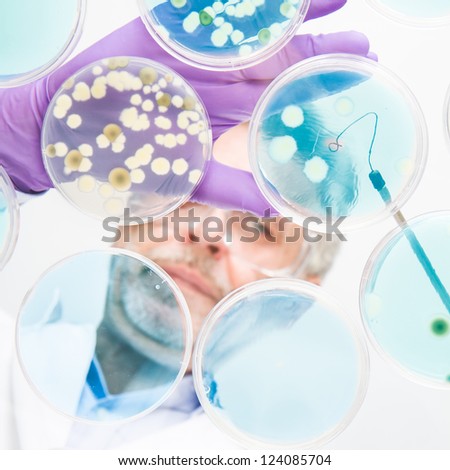 Similar – Image, Stock Photo Life science researcher grafting bacteria.