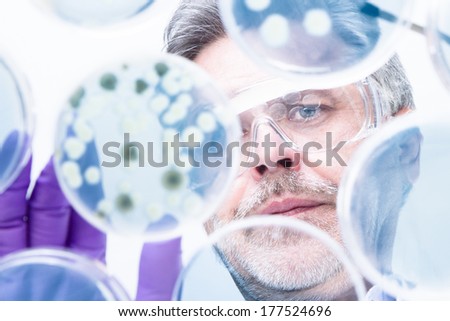 Similar – Image, Stock Photo Life science researcher grafting bacteria.
