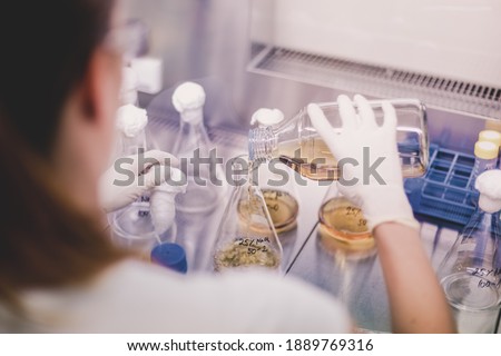 Similar – Image, Stock Photo Life science researcher grafting bacteria.