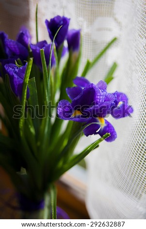 bouquet of flowers iris standing in a vase near the window