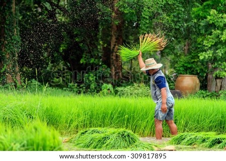 farmer -slow life in asian