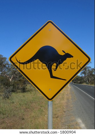 Australian Native Animal Kangaroo Road Sign Stock Photo 1800904 ...