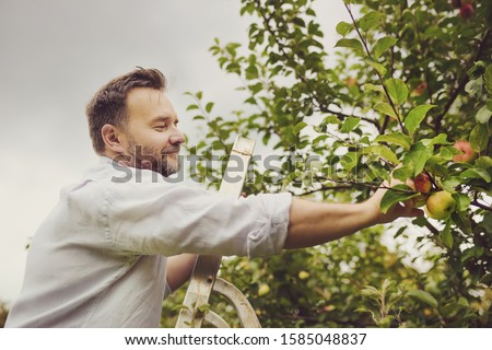 Similar – Image, Stock Photo Apple harvest or man with hat sits under a ripe apple tree