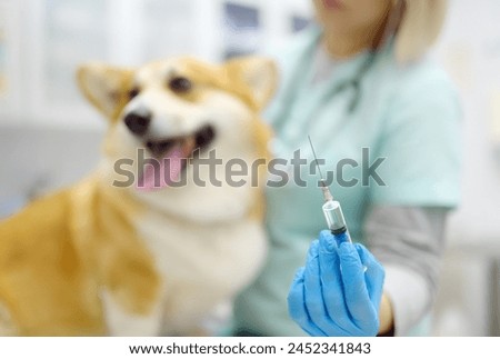 Similar – Foto Bild Tierarzt bei der Vorbereitung eines Hundes für eine Tomographieuntersuchung in der Klinik