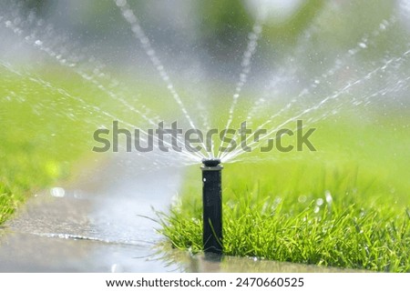 Similar – Image, Stock Photo Natural Irrigated Garden Growing Broccoli with water on leaves