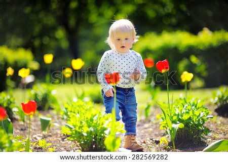 Toddler boy walking in the garden at the spring or summer day