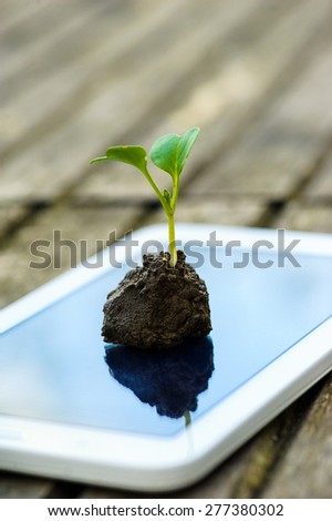 a touch screen of smartphone,tablet,cell phone with seedling growing up on screen over wooden background. abstract background to green communication technology concept.