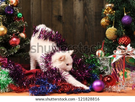 White cat playing with the Christmas tree decorations