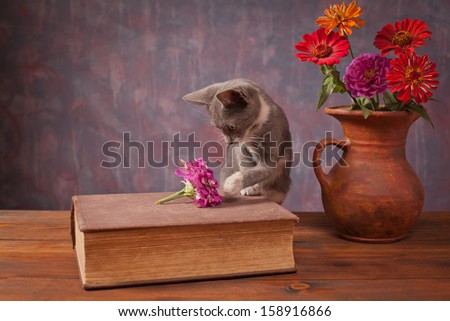Cat posing next to flowers in a vase on the table