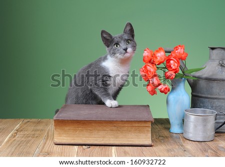 Cat posing for on books and flowers in a vase
