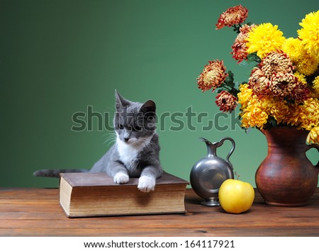 Cat posing next to flowers and books