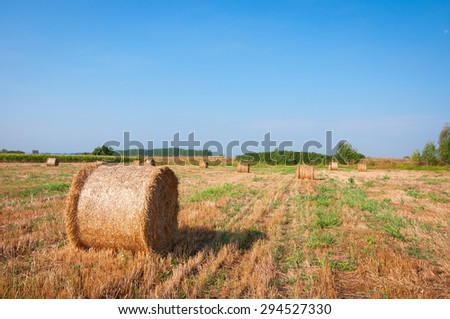 The Mown wheat and straw in a field