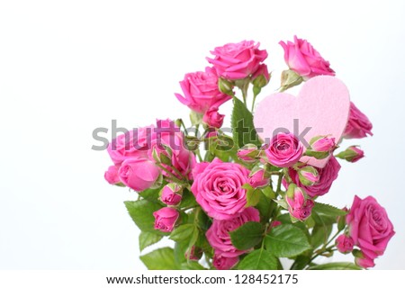 Pink roses bunch closeup isolated on white background