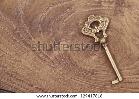 Old key/One antique key on a light wooden background