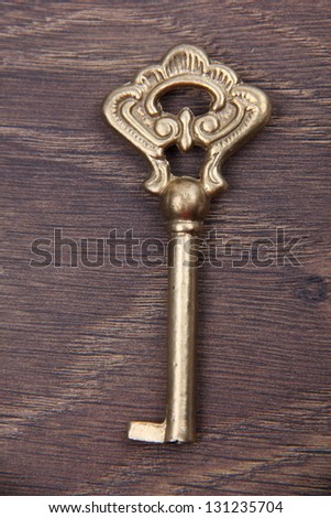 Beautiful vintage key/Big key