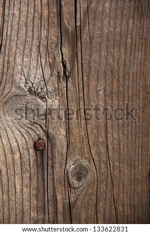 Background of bright patterned wood