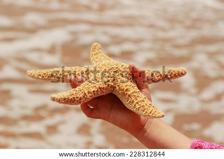 Huge star fish in kids hand over seaside background, East Crimea, Russia