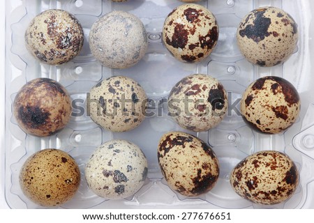 quail eggs in plastic package textured background