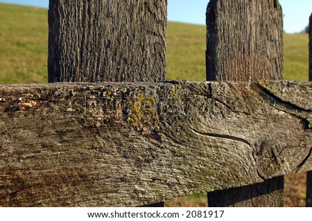 Close-Up of old wood fence showing grunge and texture.