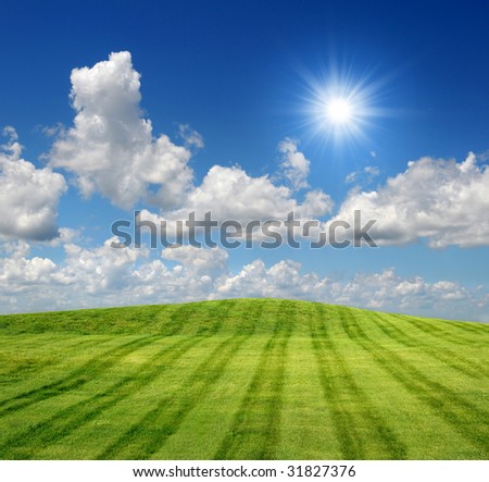 Sunny day with green grass and clouds in the sky