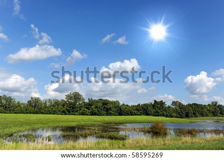 Rural landscape with sun shining bright