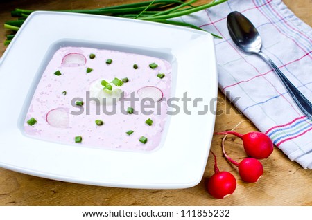 Traditional polish spring \'cold soup\' made of beets, radish, cucumber and yogurt