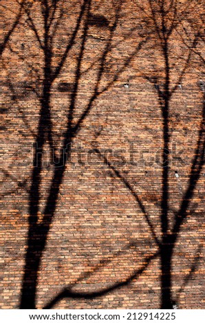 Tree branches shadows on the brick wall