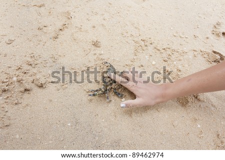 Women forefinger stop crab not go on beach at Thailand