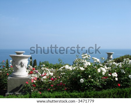 beautiful landscape - white roses, sea and sky