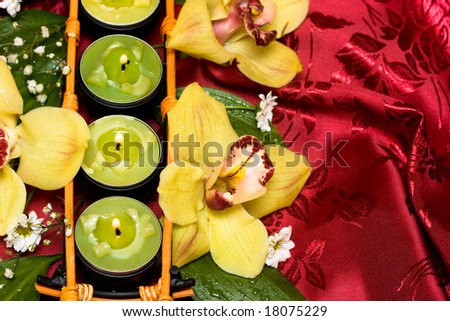 Row of green candles and yellow orchids
