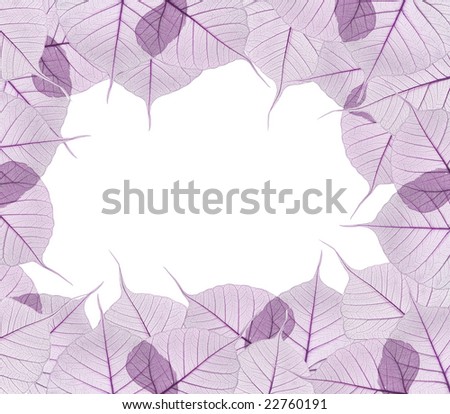 violet leaves isolated on white background