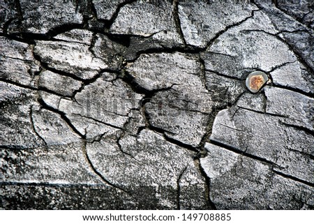 Detailed close up of a section of weathered wood with a nail head. A great texture image for a background or overlay.
