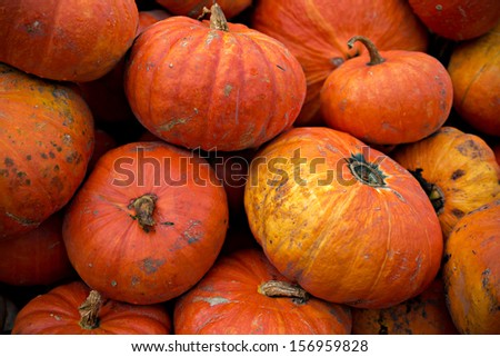 Freshly picked large red Cinderella pumpkins in a pile.  Horizontal orientation.  A great background image.