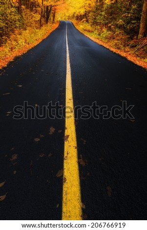 A road running through a forest in the autumn season.  Muskoka Beach Road, Ontario, Canada.