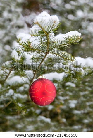 A red Christmas bulb decorations hanging off a spruce tree outside.  Room for copy space.