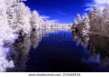 An infrared photo a river in a forest. Photographed with a 665nm Infrared camera.
