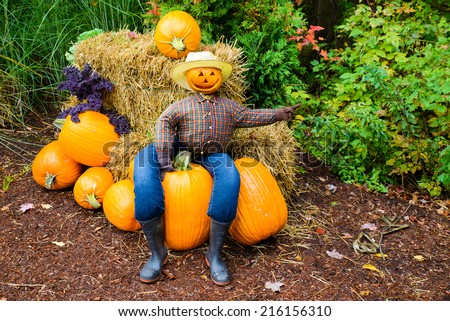 A welcoming scarecrow with a grinning Jack-o-lantern head sits on a pumpkin pile and  points the way.